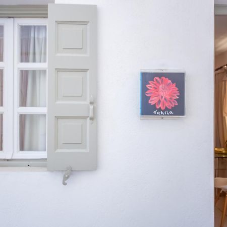 Sing And Blossom Accommodation Mykonos Town Exteriér fotografie
