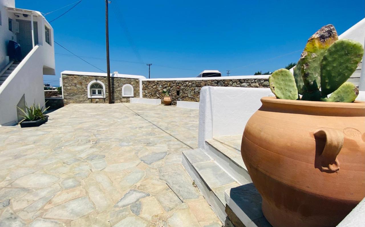 Sing And Blossom Accommodation Mykonos Town Exteriér fotografie