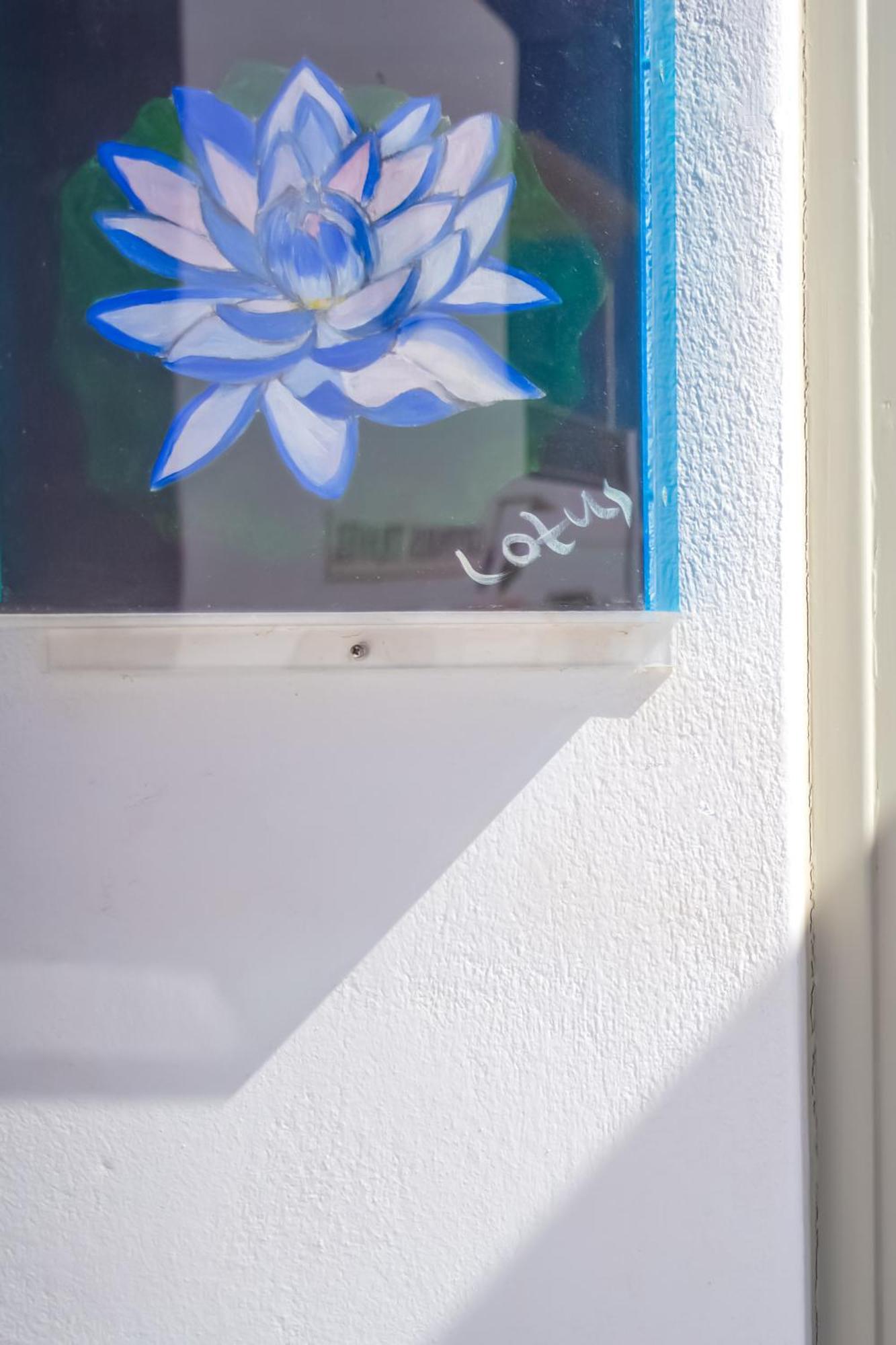 Sing And Blossom Accommodation Mykonos Town Exteriér fotografie